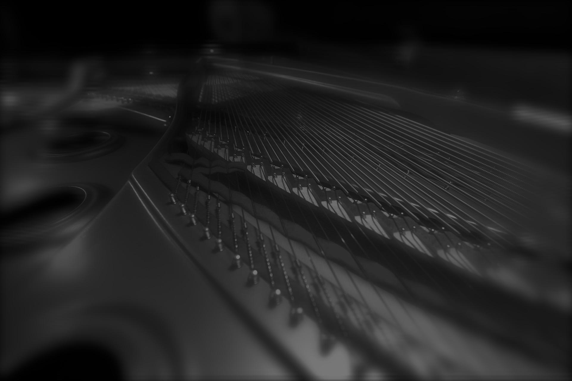PianoHarpBW